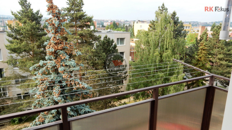 Pronájem zrekonstruovaného bytu 1+1 Maxima Gorkého, Třebíč